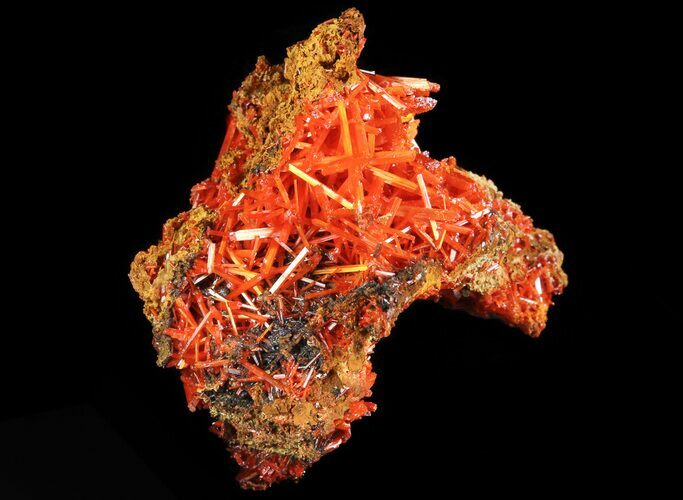 Bright Orange Crocoite Crystals - Tasmania #64353